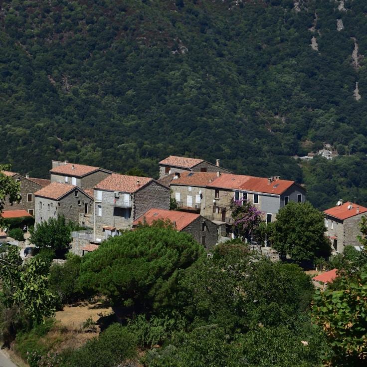 Entertainment zone at night in Portugal